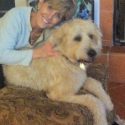 Get Help Watching Your Pet During the Holidays