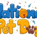 Celebrating Your Pets During National Pet Day