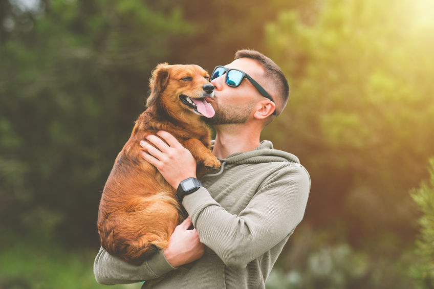 Man holding dog in his arms and kissing him outdoors. Dog and owner together. Love for pets. High quality photo