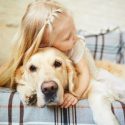 Finding the Right Dog Breeder