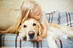 comforting stressed out dog on couch