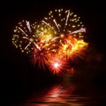 Firework Safety for Pets and Pet Owners