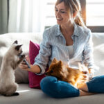 pet sitter playing with dog and cat on couch