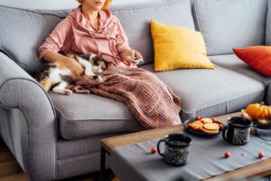 Woman with plaid selecting movie with remote controller and stroking multicolored cat pet on the sofa. Movie night party at home with sweets and hot drinks. Cozy autumn holidays. Selective focus